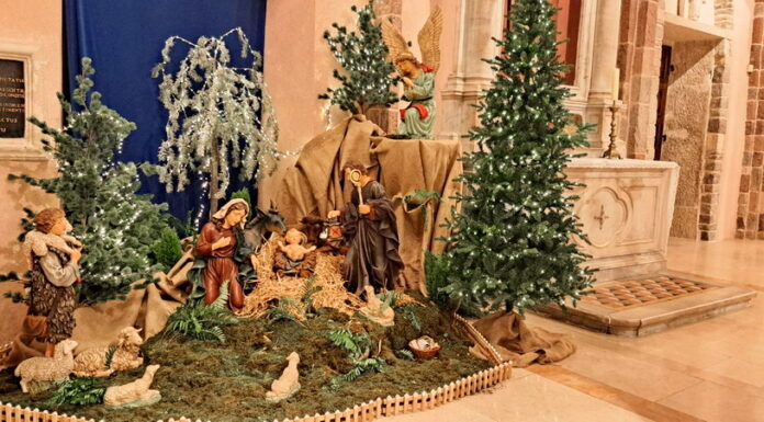 Sretan Božić i Novu godinu želi vam Hrvatsko građansko društvo